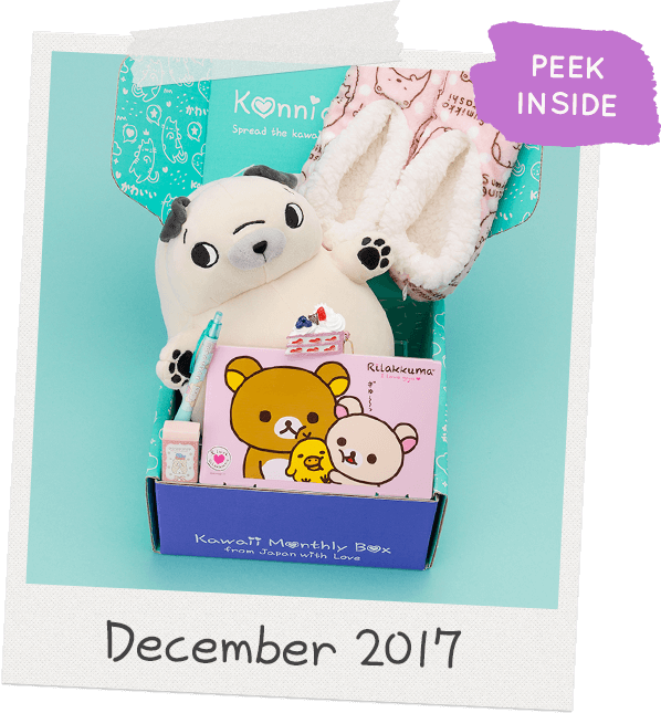 YumeTwins: The Monthly Kawaii Box Straight From Tokyo To Your Door!